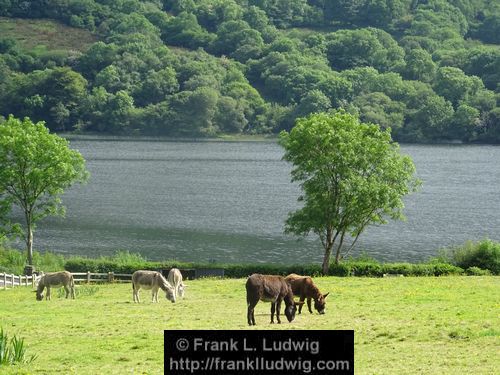 Glencar Lake